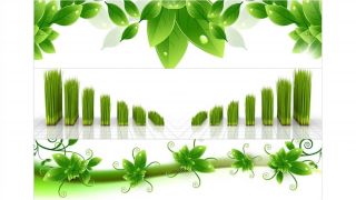 Stenska obloga kuhinje, green