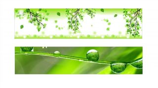 Stenska obloga kuhinje, green