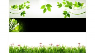 Stenska obloga kuhinje, green