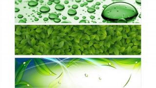 Stenska obloga kuhinje, green