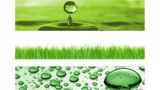 Stenska obloga kuhinje, green