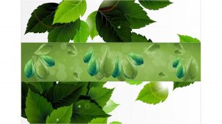 Stenska obloga kuhinje, green