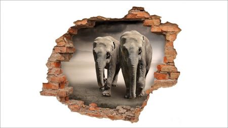 Stenska nalepka 3D slon