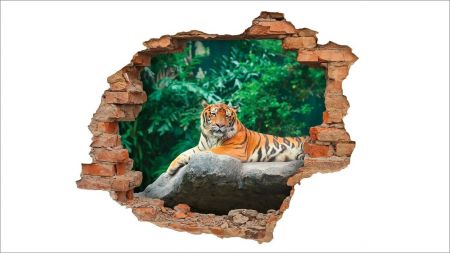 Stenska nalepka 3D tiger